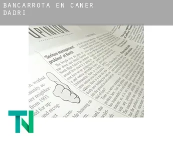 Bancarrota en  Caner d'Adri