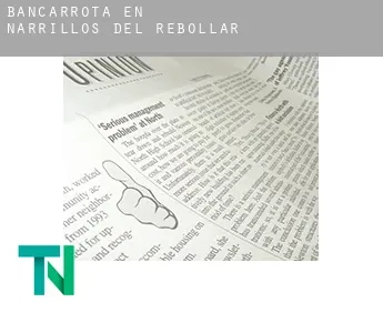 Bancarrota en  Narrillos del Rebollar