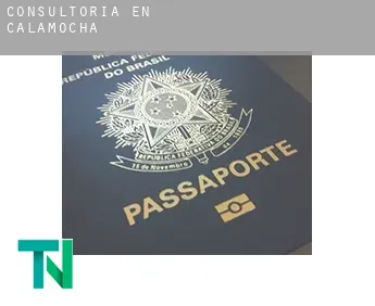 Consultoría en  Calamocha