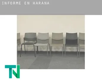 Informe en  Harana / Valle de Arana