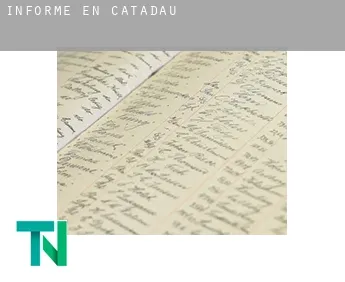 Informe en  Catadau