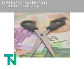 Impuestos nacionales en  Casar de Cáceres