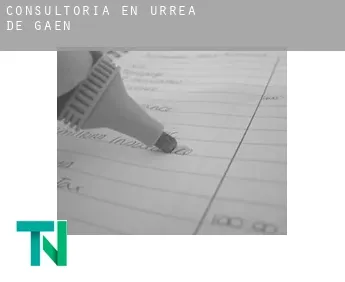 Consultoría en  Urrea de Gaén