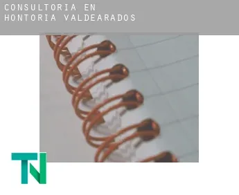 Consultoría en  Hontoria de Valdearados