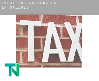 Impuestos nacionales en  Gallués / Galoze