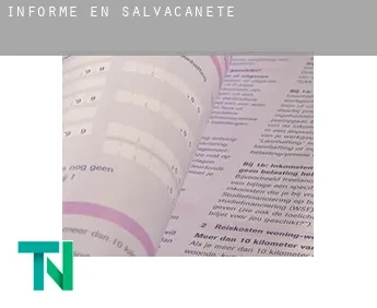 Informe en  Salvacañete