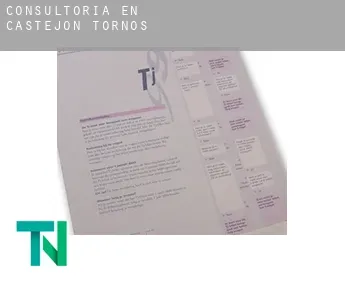 Consultoría en  Castejón de Tornos