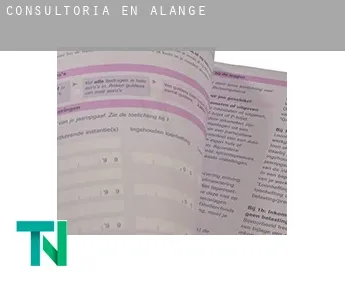 Consultoría en  Alange