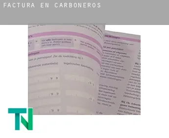 Factura en  Carboneros