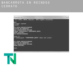 Bancarrota en  Reinoso de Cerrato