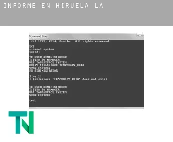 Informe en  Hiruela (La)