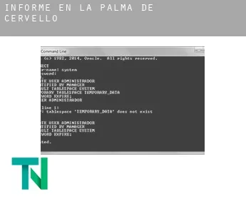 Informe en  la Palma de Cervelló