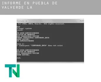 Informe en  Puebla de Valverde (La)