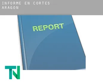 Informe en  Cortes de Aragón