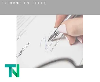 Informe en  Felix