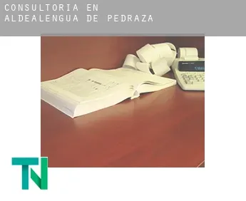 Consultoría en  Aldealengua de Pedraza